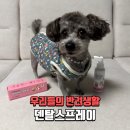 도도카케어 | 덴탈스프레이 강아지 구취제거 추천｜우리들의 반려생활 우반생 후기