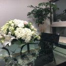 참한 결혼정보 이미지