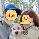 아이랑 동물병원 이미지