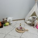 멍잇츄 네이버블로그