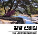 함양 선비길 선비문화탐방로 화림동 계곡 지리산 트레킹