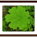 진부농장 이미지