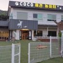 코코까페 이미지
