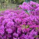 더명품공인중개사사무소 이미지