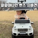 휠노래공원 | 파파야나인 아기자동차 벤츠 지바겐 푸쉬카 조작법 13개월아기 후기