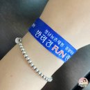 정남농촌체험휴양마을 | 폐교를 리모델링한 정남농촌체험 휴양마을 반려견 펀랜드 애견운동장