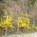 남도의 향기 이미지