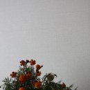 서광세탁소 이미지