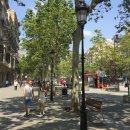 별그림민박 이미지