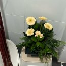 화훼장식기능사(중급) | 화훼장식기능사 실기 두 번째 도전