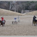 라온더마파크 이미지