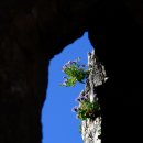 들꽃이 있는 바다 이미지