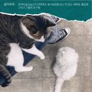 호아미술교습소