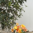 내안뜰 | 애월숙소추천 애월 돌안뜰 내돈내산