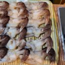 맛기행사계절 | 당산역 유명맛집 맛기행 사계절 제철 새조개 샤브 후기
