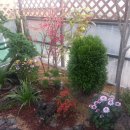 아이큰햇빛어린이집 이미지