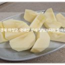 아이보따리 | 경북 의성군 국내산 부사 싱싱보따리 껍찔채 먹는 꿀사과 후기!