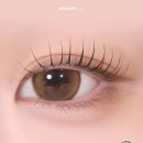 빅플 네이버블로그