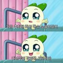 레드타이 이미지