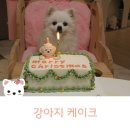 투테일스 이미지