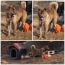 종명농장 이미지