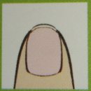 손톱모양 이미지
