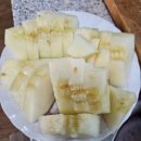 만경산멜론농장 | 천안 수신메론농장 추천, 만경산멜론하우스에서 맛있는 메론 샀어요!