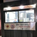 서울 데이트 추천 [창경궁 야간개장] 물빛연화 + 주차정보, 휠체어/유모차 대여