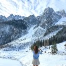 ㈜동화항공여행사 | 유럽 세미패키지 여행사로 다녀오고 나서 느낀점 장점 단점