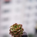 하늘빛 바다 이미지