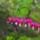 풀빛동산 이미지