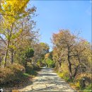 페트라숯불구이 이미지