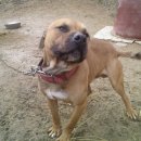 월향농장 이미지