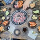 월척오리 이미지