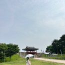 홍주신발 이미지