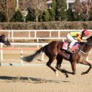 엘도라도 이미지