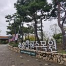 마당이수목원(느티나무동) | [수원여행]일월수목원 가을 야간운영 &#39;밤빛정원&#39;