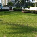 진맥잘보는한의원 이미지