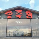 송죽원 Daum카페
