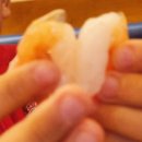 대학로(유성-3) | 유성 온천역 맛집 봉명동술집 평화로운집 방문후기