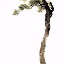 싸리비 - 1434 | 싸리비