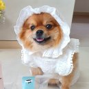 워터스윕