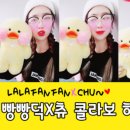 오리한마리 이미지