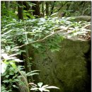 금어로1 이미지