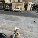 성당종합약국 이미지