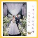 앨범공작소 | 가성비 부산 본식 스냅 추천 시간공작소 보정 앨범 후기