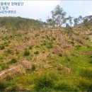 방지둔교 - 986 | 방지둔교