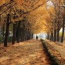 위례성로 이미지