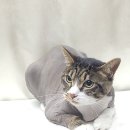 청라원 이미지