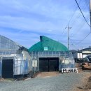 훈훈 농장 | [부산 아이와 가볼만한곳] 부산 김해 딸기 따기 플랜비 체험농장 동물 먹이 체험까지 가능한